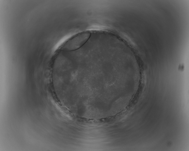 X0000111051208200906251425