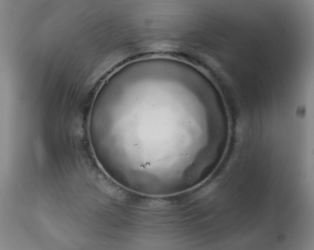 X0000111051209200906251425
