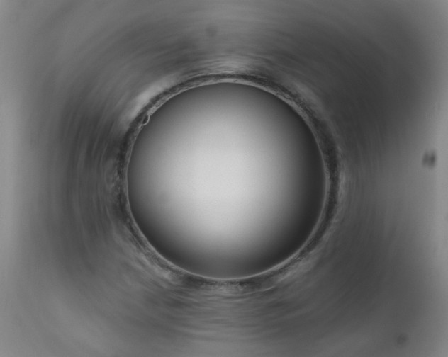 X0000111051210200906251425