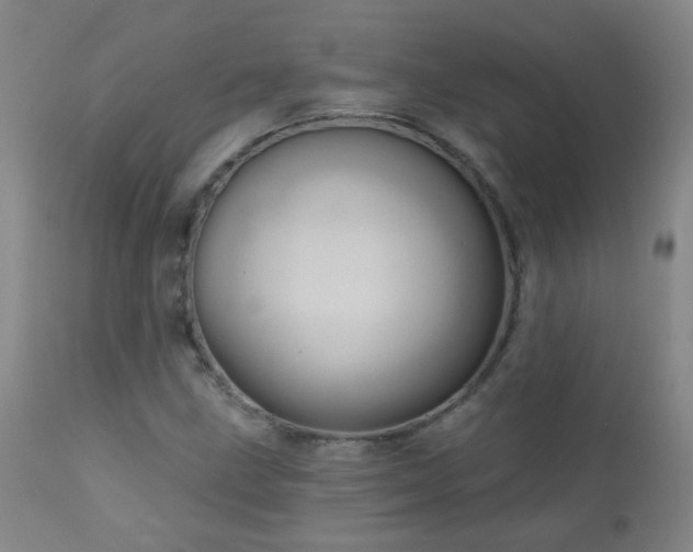 X0000111051211200906251425