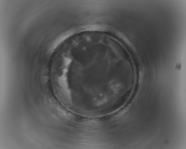 X0000111051213200906251425