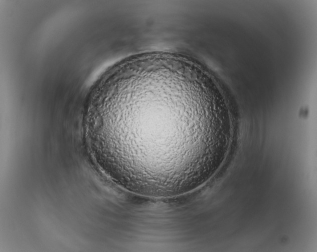 X0000111051214200906251425