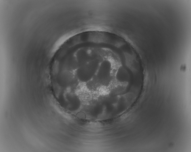 X0000111051215200906251425