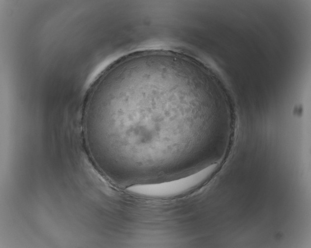 X0000111051216200906251425