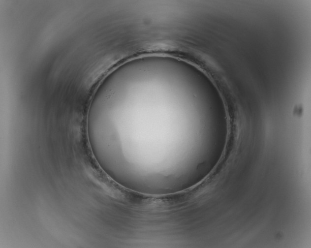 X0000111051217200906251425