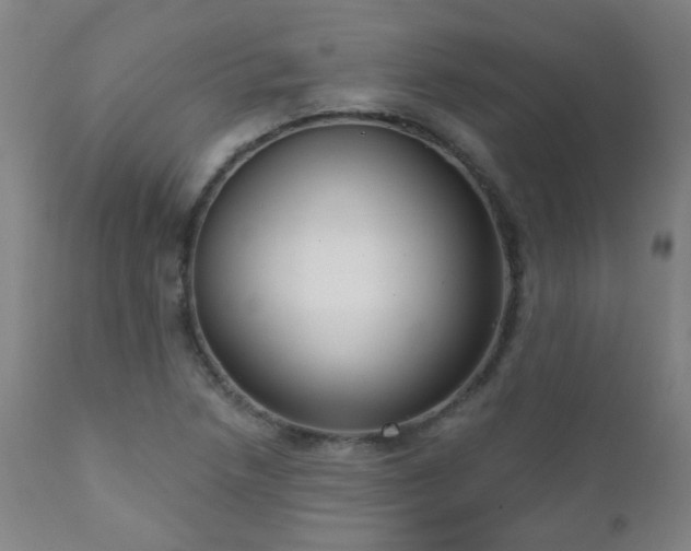 X0000111051218200906251425