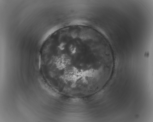 X0000111051219200906251425