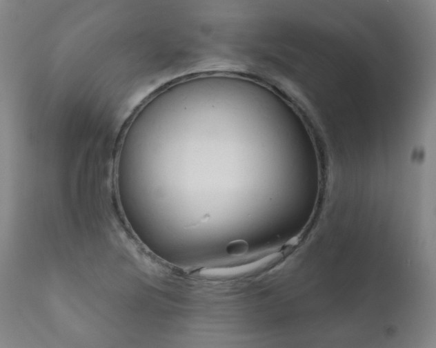 X0000111051220200906251425