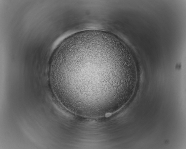 X0000111051222200906251425