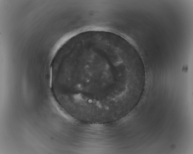 X0000111051223200906251425