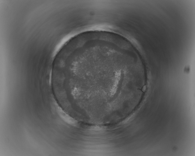 X0000111051224200906251425