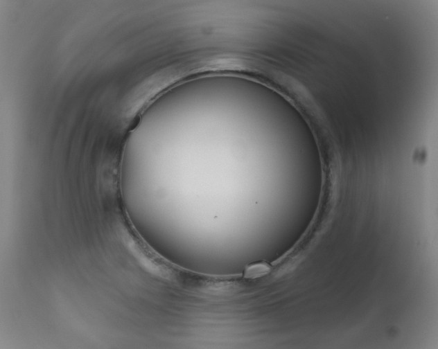 X0000111051225200906251425