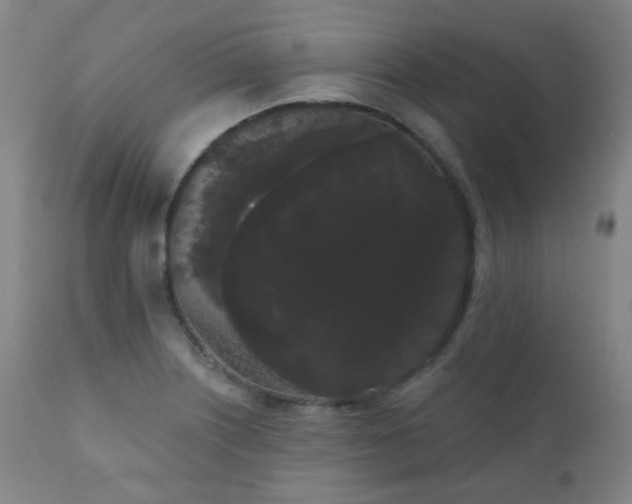 X0000111051226200906251425