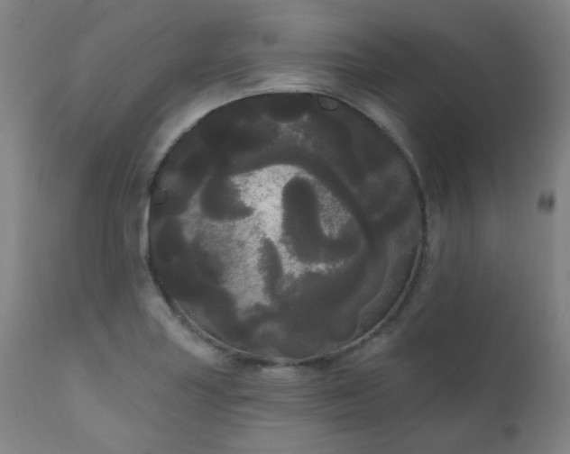 X0000111051227200906251425