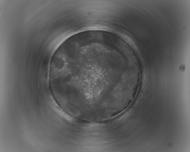 X0000111051228200906251425