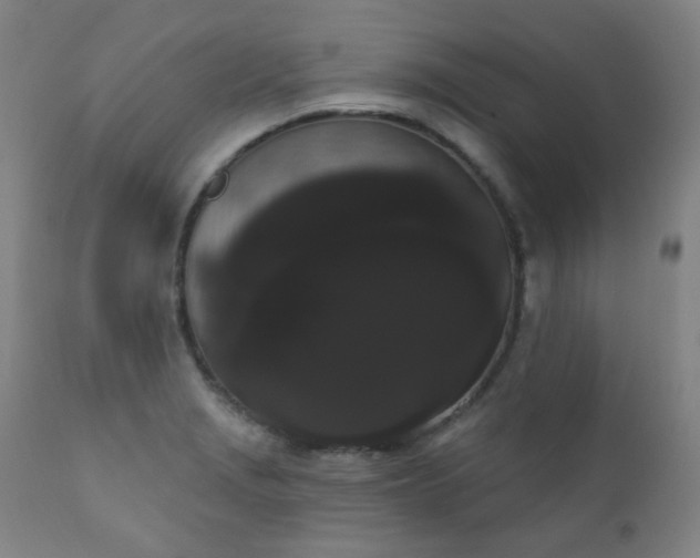 X0000111051229200906251426