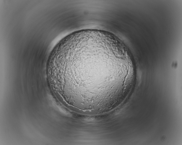 X0000111051230200906251426