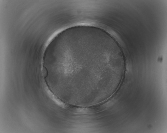 X0000111051232200906251426