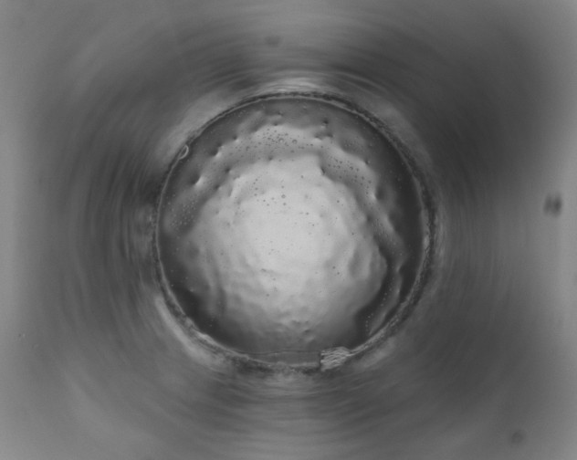 X0000111051233200906251426