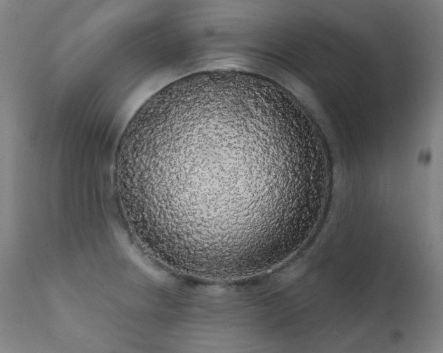X0000111051234200906251426