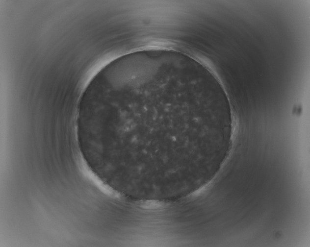 X0000111051235200906251426