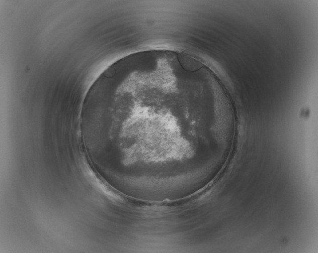 X0000111051236200906251426