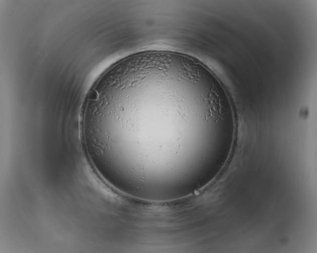 X0000111051238200906251426