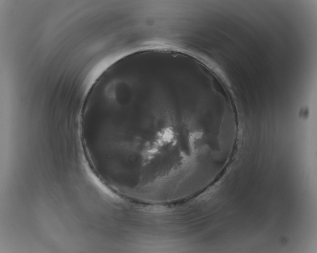 X0000111051239200906251426