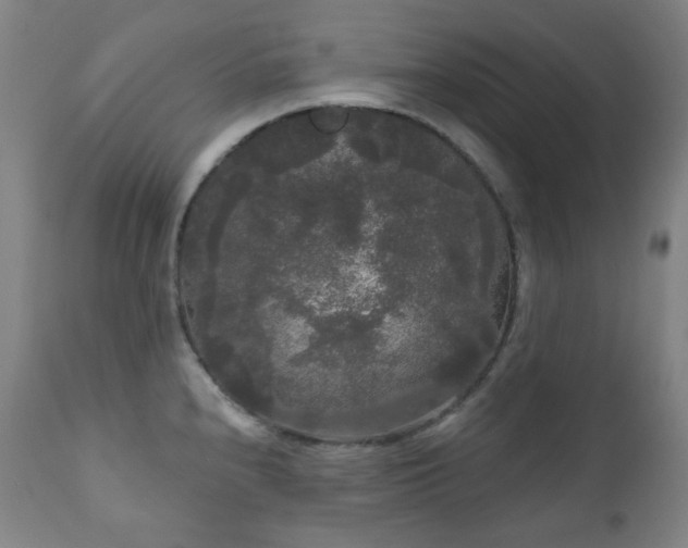X0000111051240200906251426
