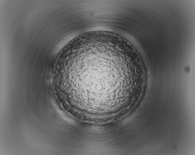 X0000111051241200906251426