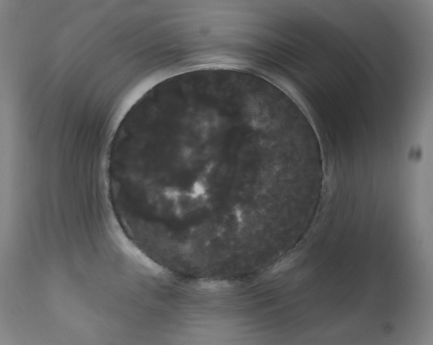 X0000111051243200906251426