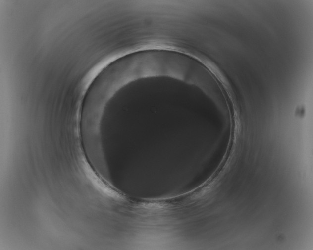 X0000111051246200906251426