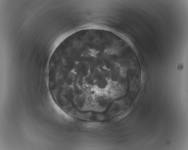 X0000111051247200906251426