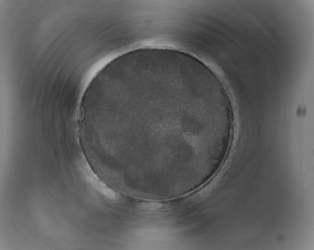 X0000111051248200906251426