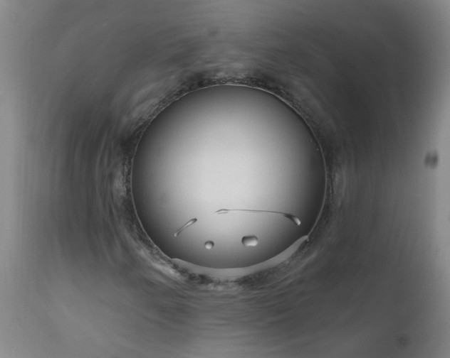 X0000111051250200906251425