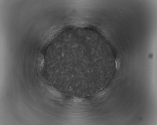 X0000111051251200906251425