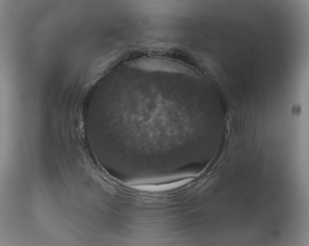X0000111051252200906251425
