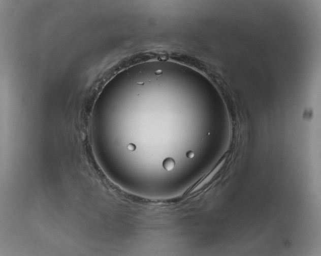 X0000111051253200906251425