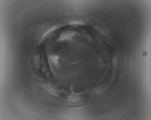 X0000111051254200906251425