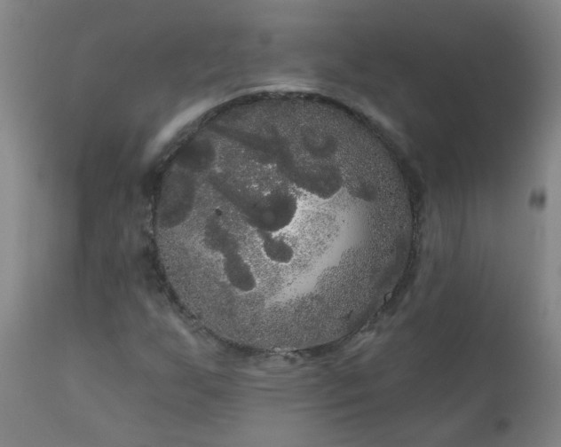 X0000111051255200906251425