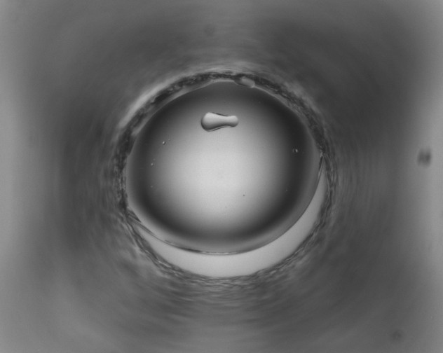 X0000111051256200906251425