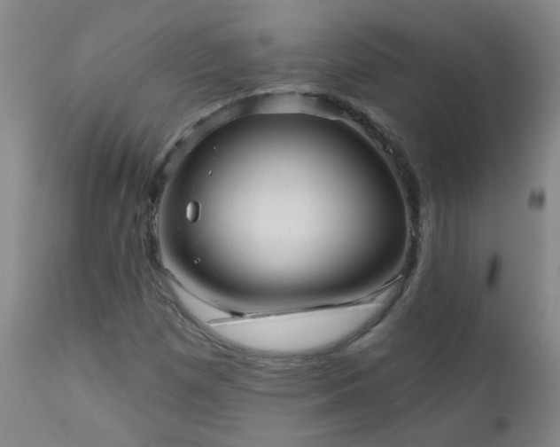 X0000111051257200906251425