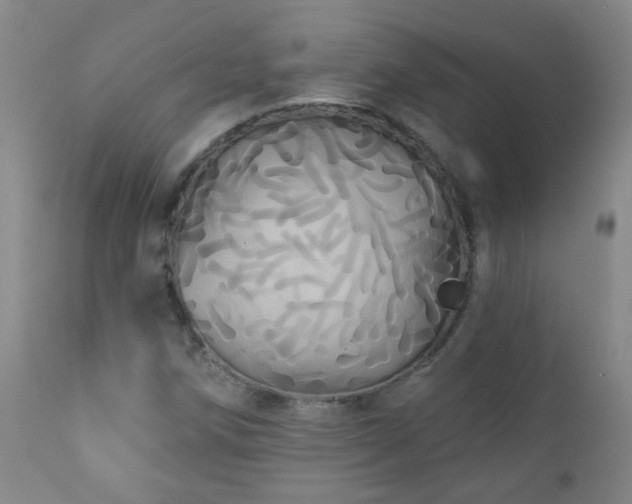 X0000111051258200906251425