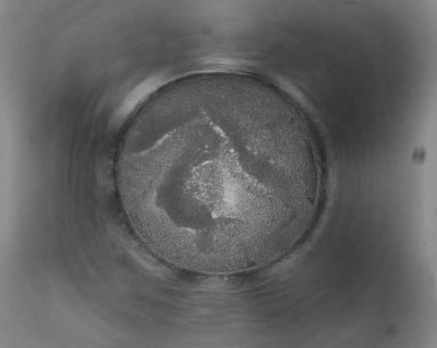 X0000111051259200906251425
