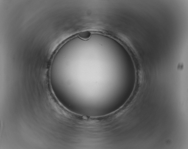 X0000111051260200906251425