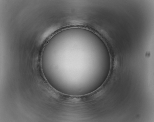 X0000111051261200906251425