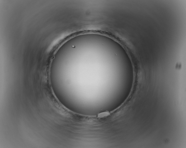 X0000111051262200906251425