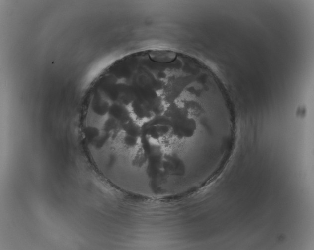 X0000111051263200906251425