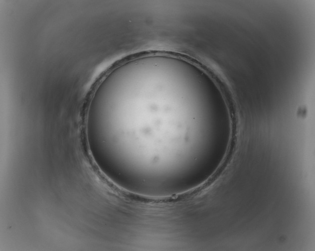 X0000111051264200906251425