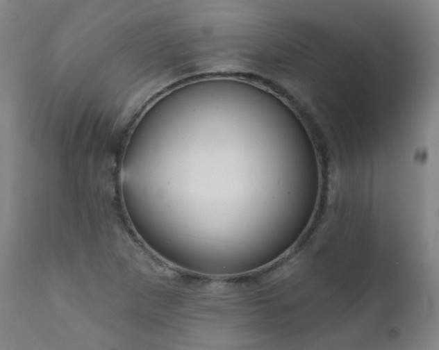 X0000111051265200906251425